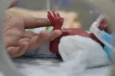 Premature baby in een couveuse