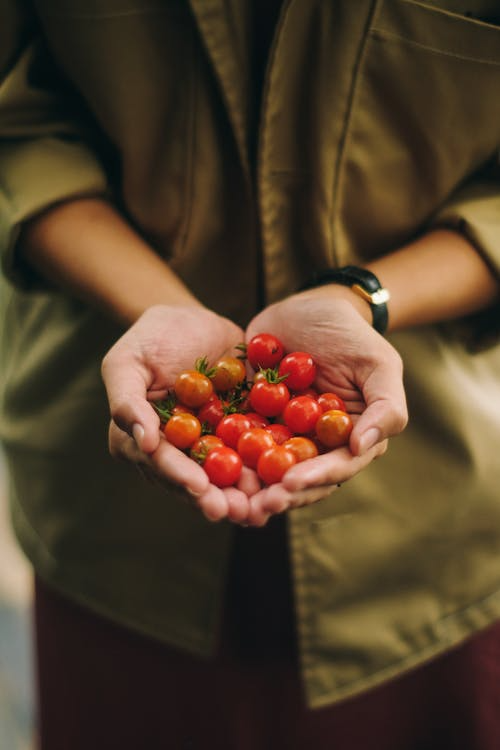 Twee handen in een kom met cherrytomaatjes