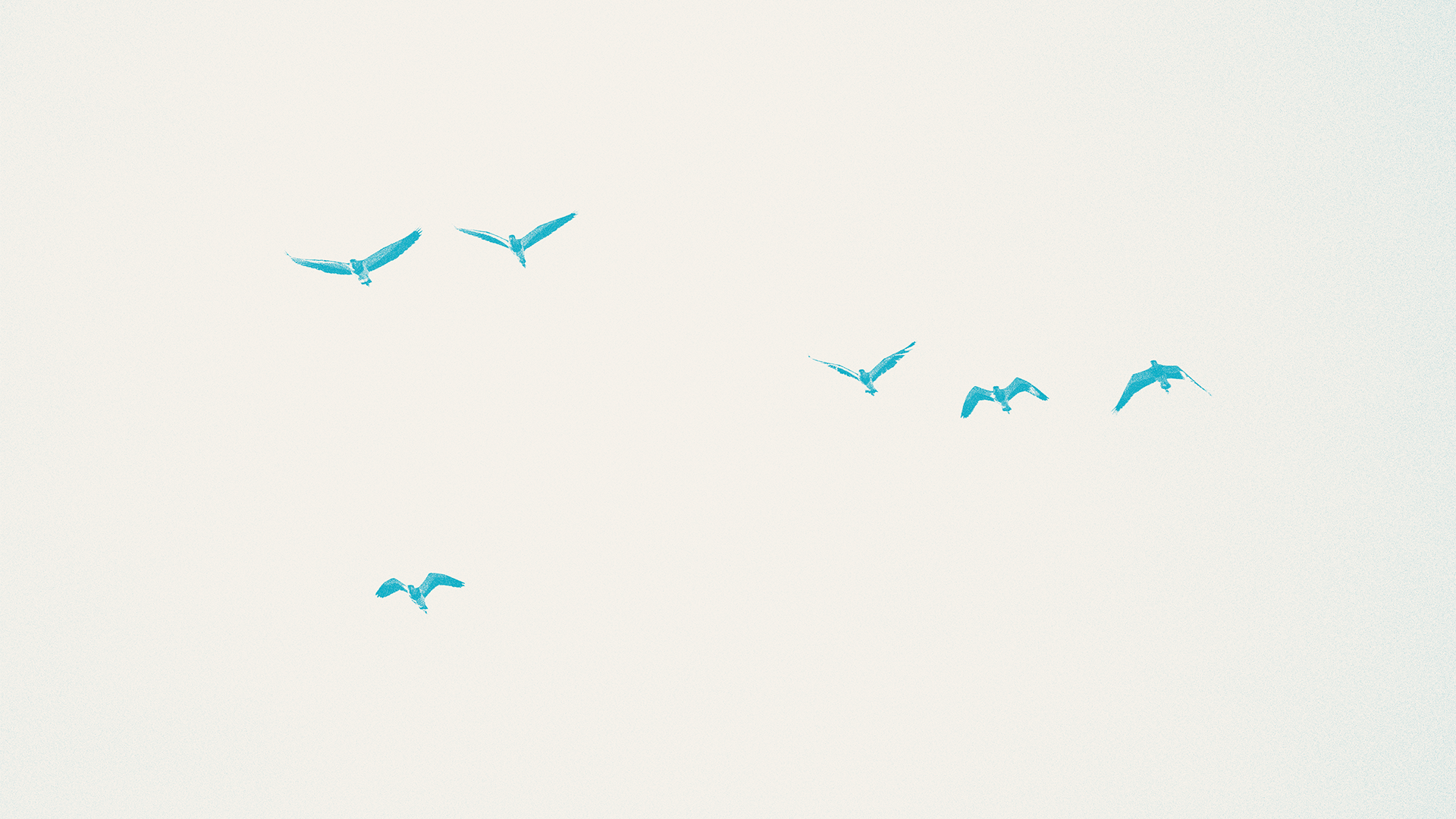 Kleine blauwe vogels die vliegen in een lichte, beige lucht.