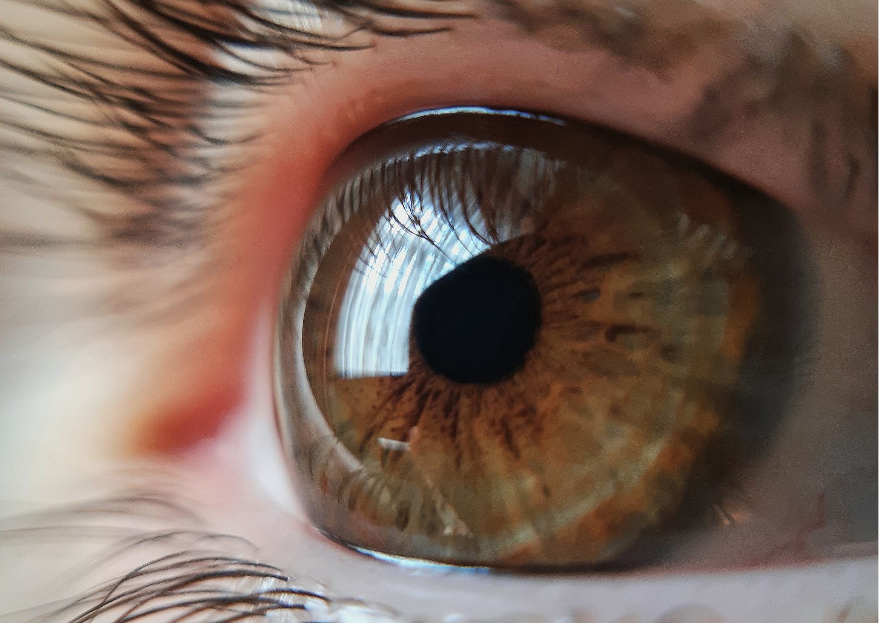 Close-up van een bruin oog